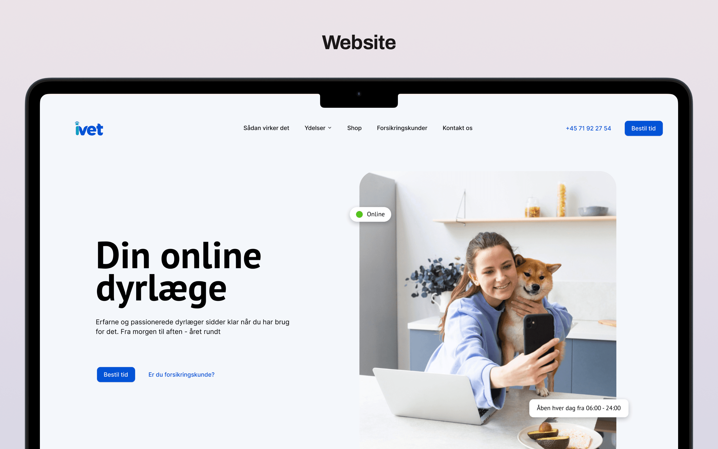 iVet landing page